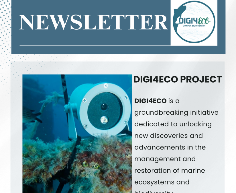 1st Newsletter