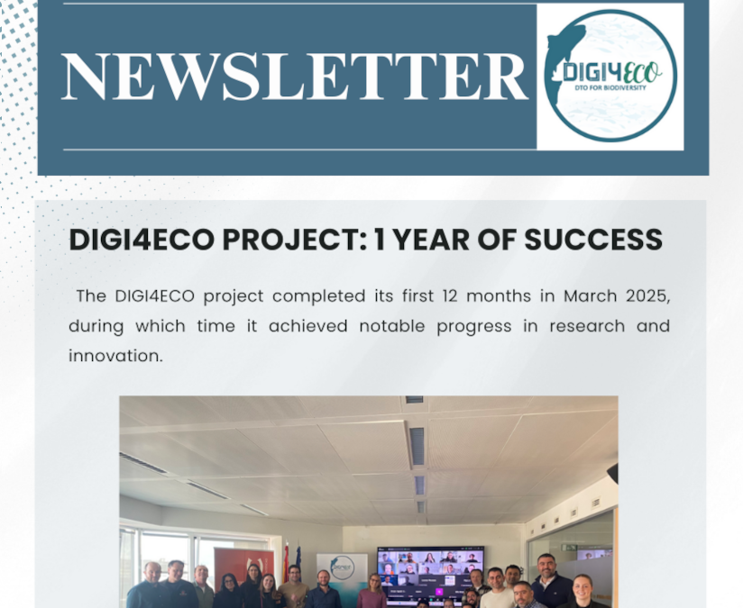 2nd Newsletter