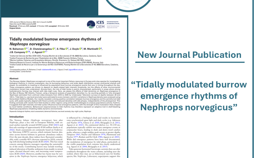 New Journal Publication