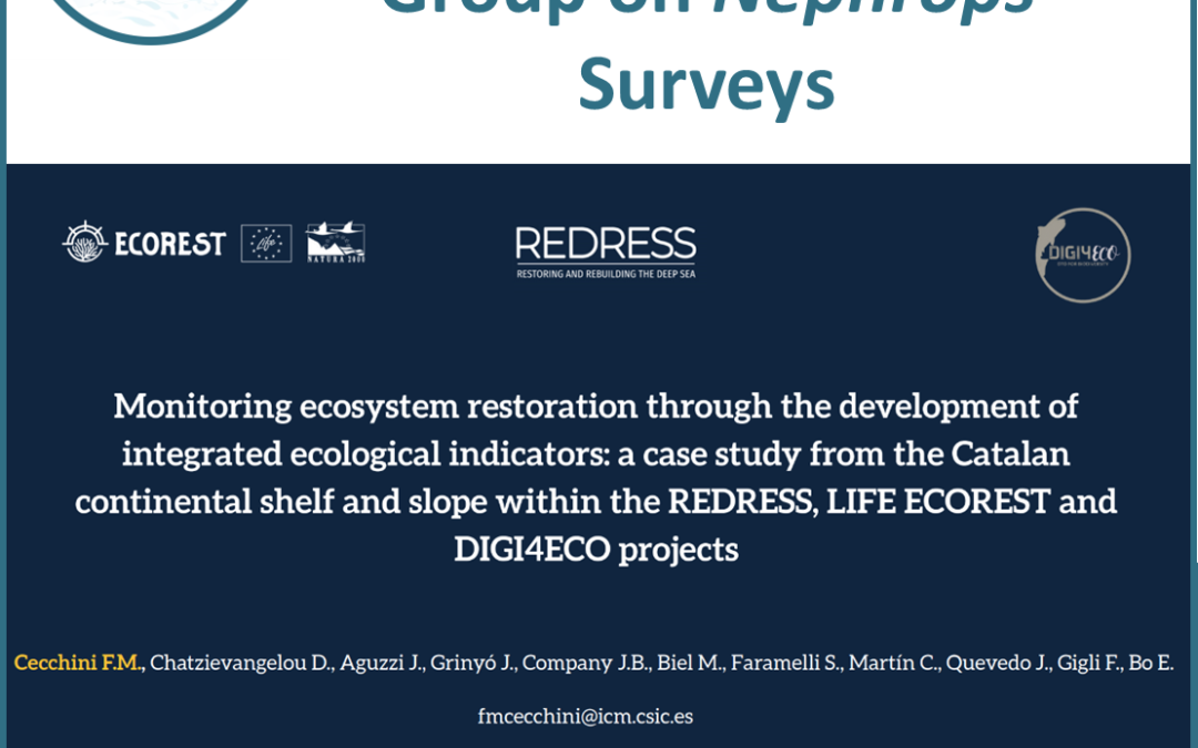 DIGI4ECO at Annual ICES Working Group on Nephrops Surveys
