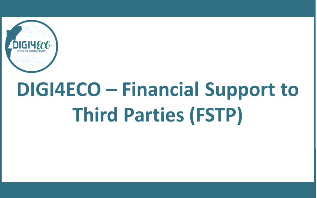 DIGI4ECO – Financial Support to Third Parties (FSTP)