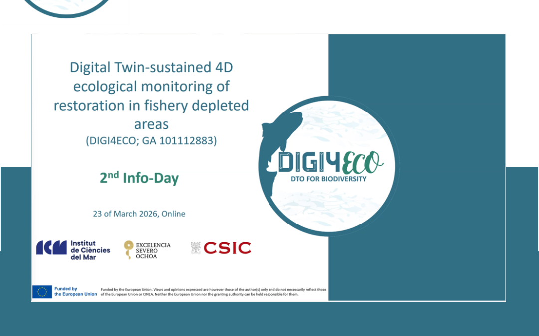 DIGI4ECO 2nd Info Day: Highlights