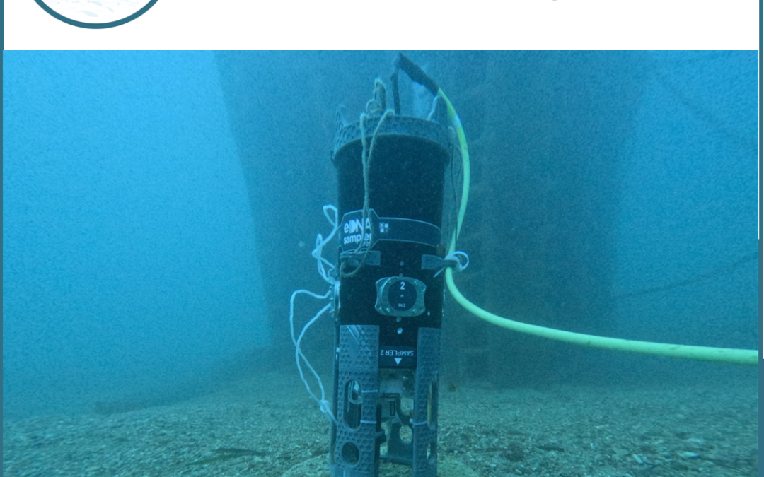 eDNA Sampling Successfully Tested at OBSEA Observatory